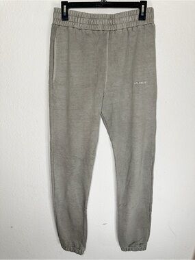 Unlabeled The Brand Cotton Terry Jogger Sweatpants in Sage Green Size Large